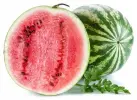 1,25 kg - Červený meloun - kompletní zmrzlinová směs, LineaGel