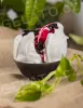 3 kg - Višeň Amarena - poleva s kousky ovoce, Stella