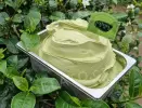 1,2 kg - Matcha Latte - kompletní zmrzlinová směs, LineaGel