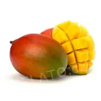 1,5 kg - Pyré Mango Alphonso 100%