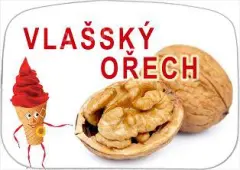 Zmrzlina Vlašský ořech