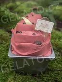 Zmrzlina Borůvka Al Natural