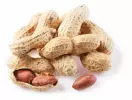 5 kg - Ochucovací pasta Arašídy Niky, Leagel