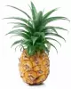1,25 kg - Ananas - zmrzlinová směs, Leagel