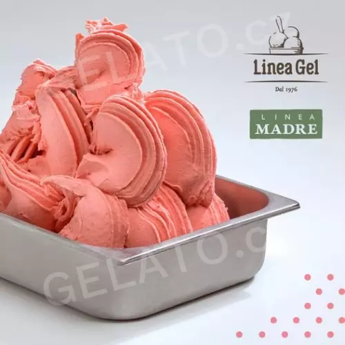 2 kg - Báze Frutta 50 Madre - základ pro ovocnou zmrzlinu, LineaGel