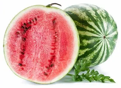 1,25 kg - Červený meloun - kompletní zmrzlinová směs, LineaGel