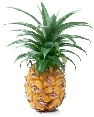 1,1 kg - Ochucovací pasta Ananas Ochucovací pasta Pannacrema, Pregel