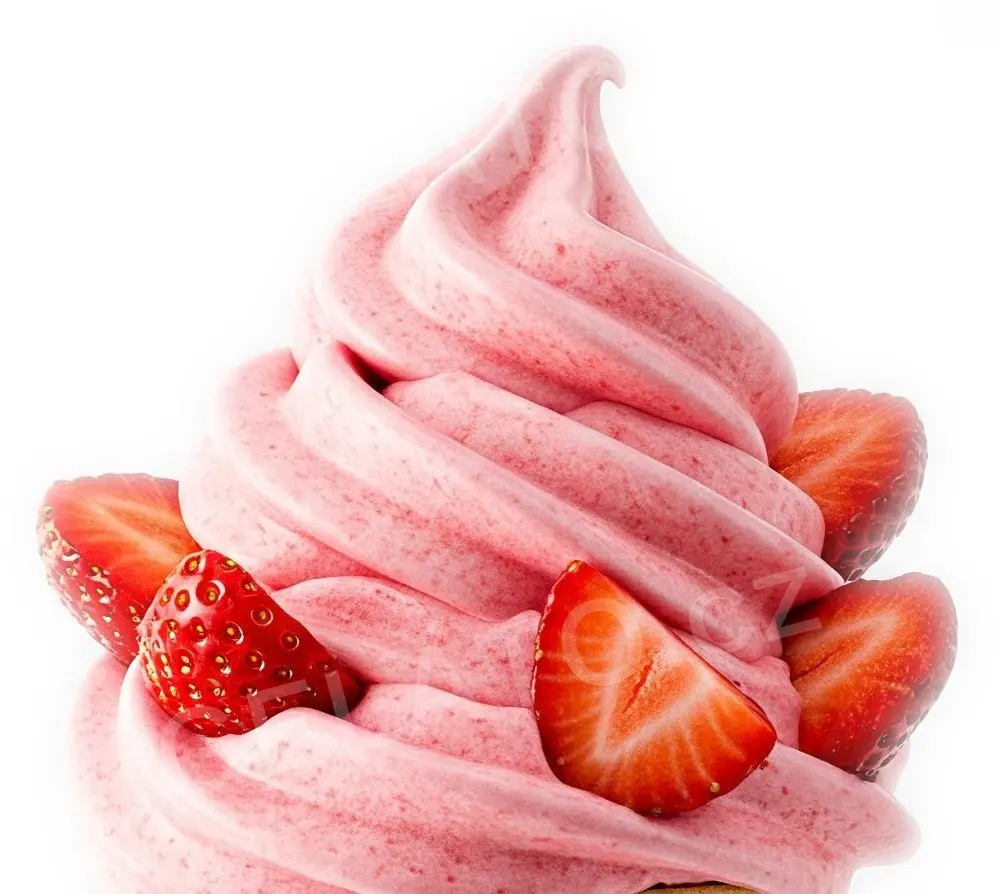 2 kg - Florida Fruit - základ pro výrobu ovocné zmrzliny