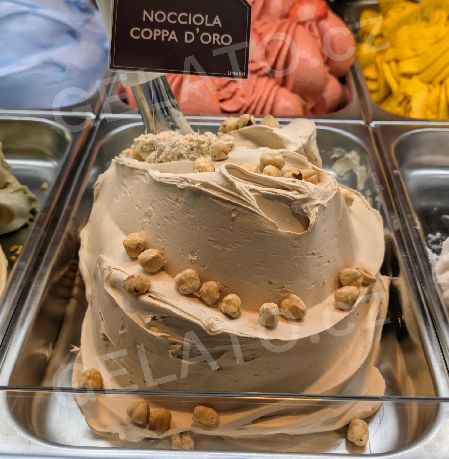 5 kg - Lískový oříšek zlatý - ochucovací pasta hladká, LineaGel