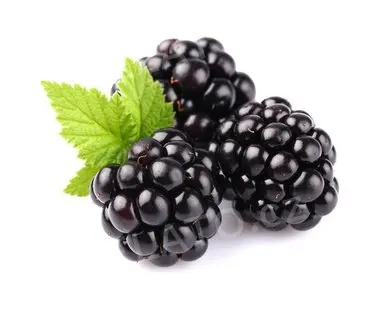 3 kg - Ochucovací pasta Ostružina, Pregel