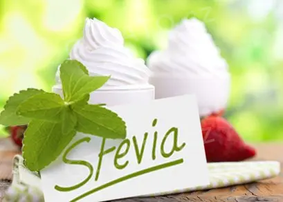 1,11 kg - Light Stevie jogurt, Pregel