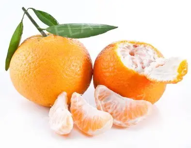 1,2 kg - Ochucovací pasta Mandarinka II, Pregel