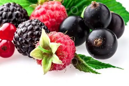 1,5 kg - Pyré Lesní plody 100%