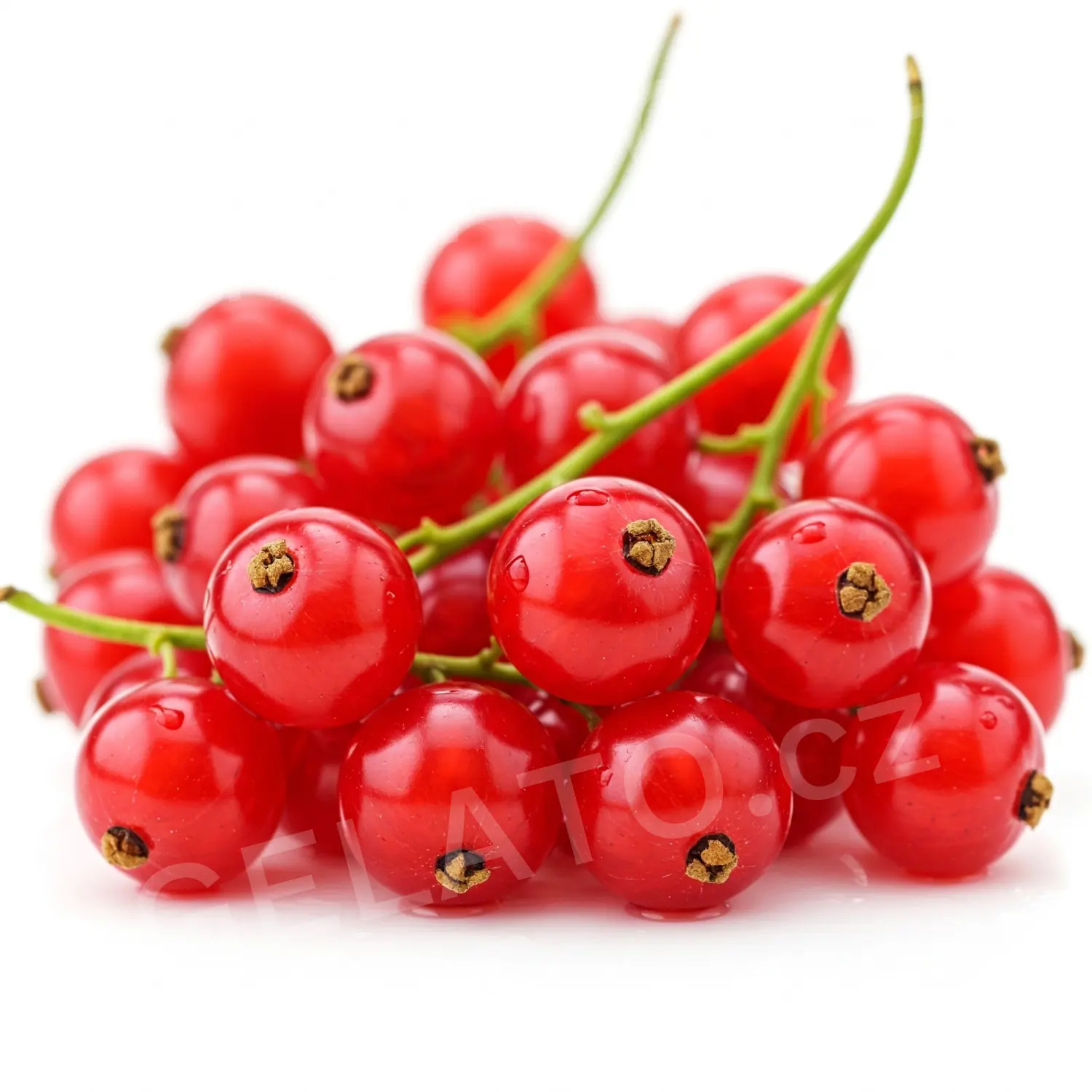 3 kg - Červený rybíz - poleva s kousky, Stella