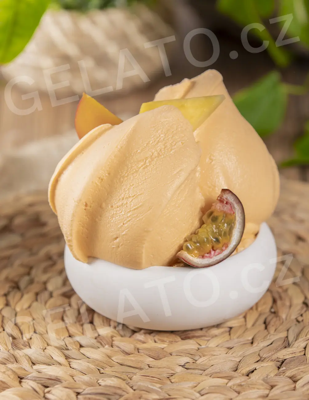 1,35 kg - Tropické ovoce - kompletní sušená zmrzlinová směs, Stella