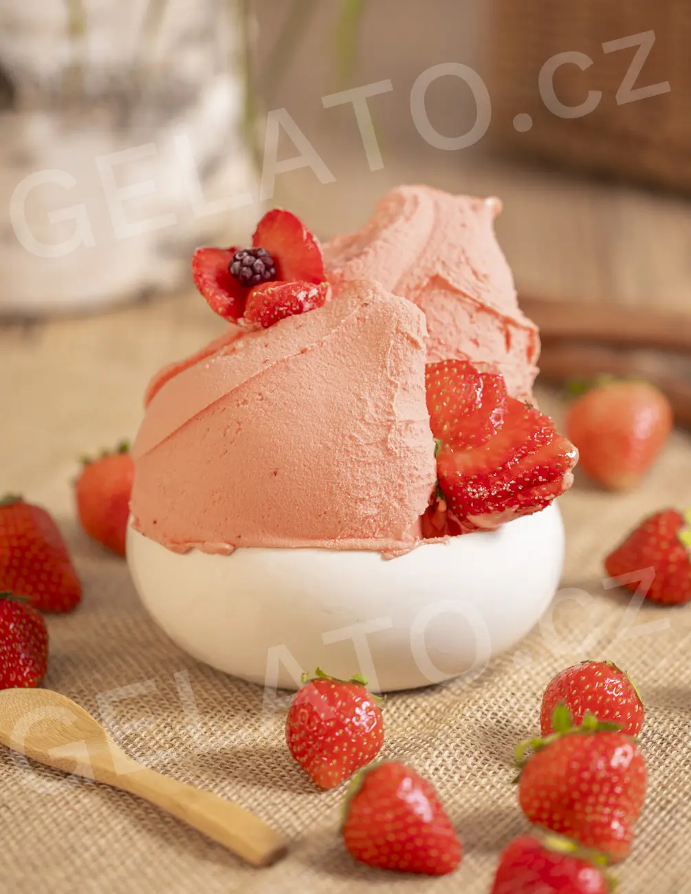 1,35 kg - Jahoda Veg - sušený základ pro zmrzlinu, Stella