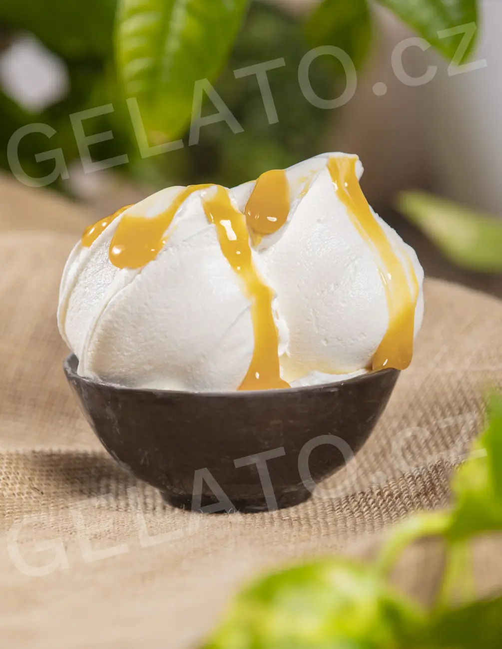 3 kg - Vaječný krém - ochucovací pasta s kousky, Stella