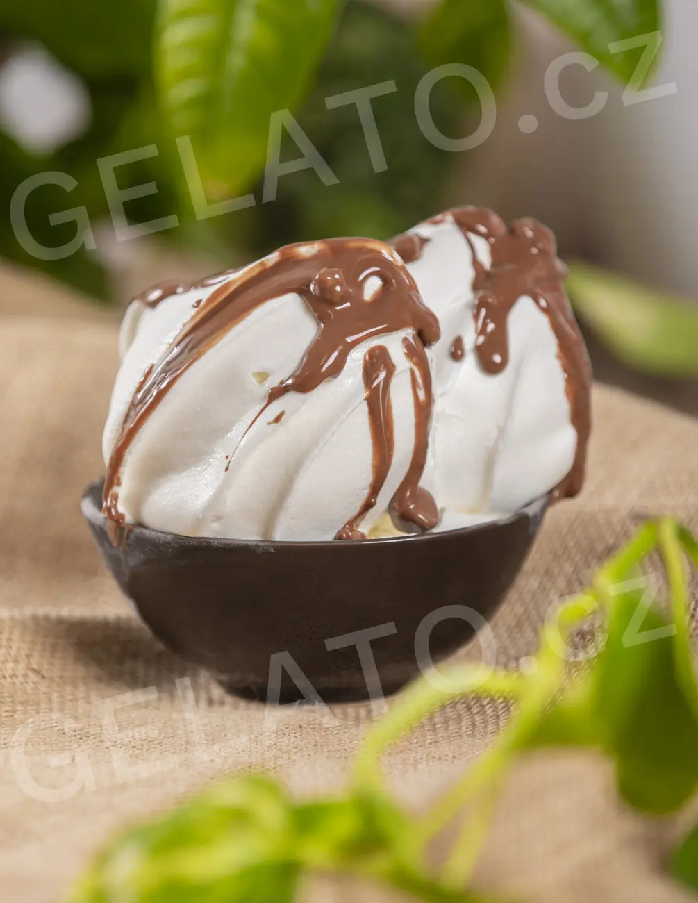 5,5 kg - Scroky - lískový oříšek a cereálie - poleva s kousky cereálií, Stella