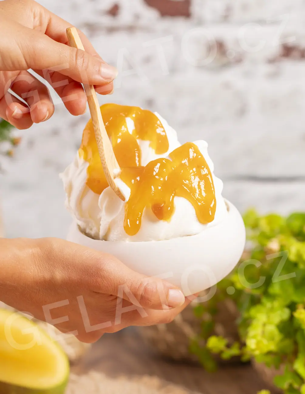 1,5 kg - Mango - poleva s kousky, Stella