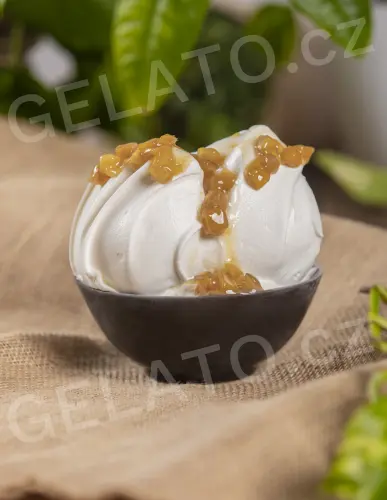 3 kg - Mango - poleva s kousky, Stella