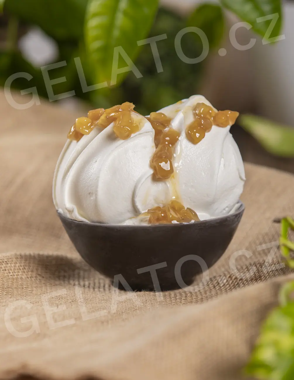 3 kg - Mango - poleva s kousky, Stella