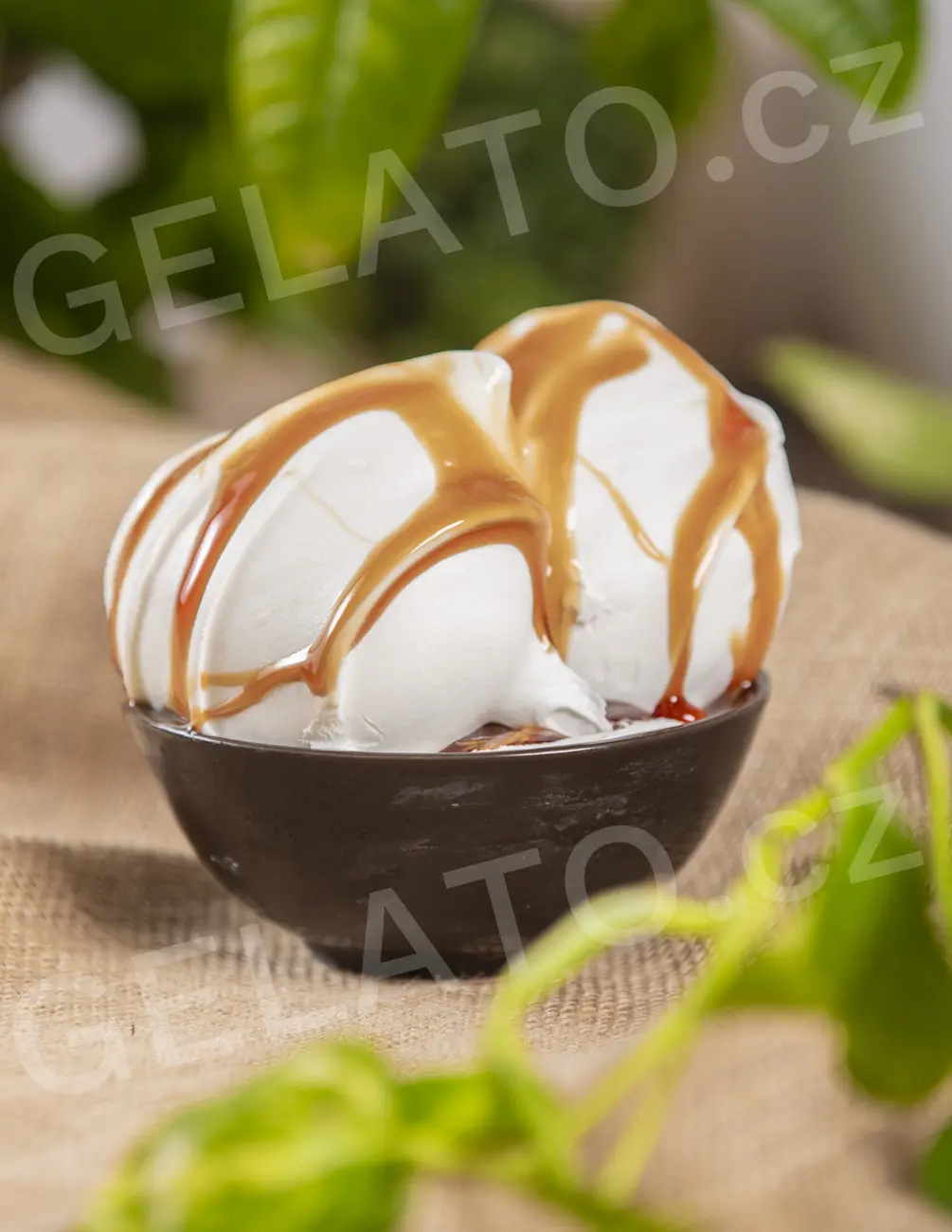 6 kg - Karamel - poleva hladká, Stella