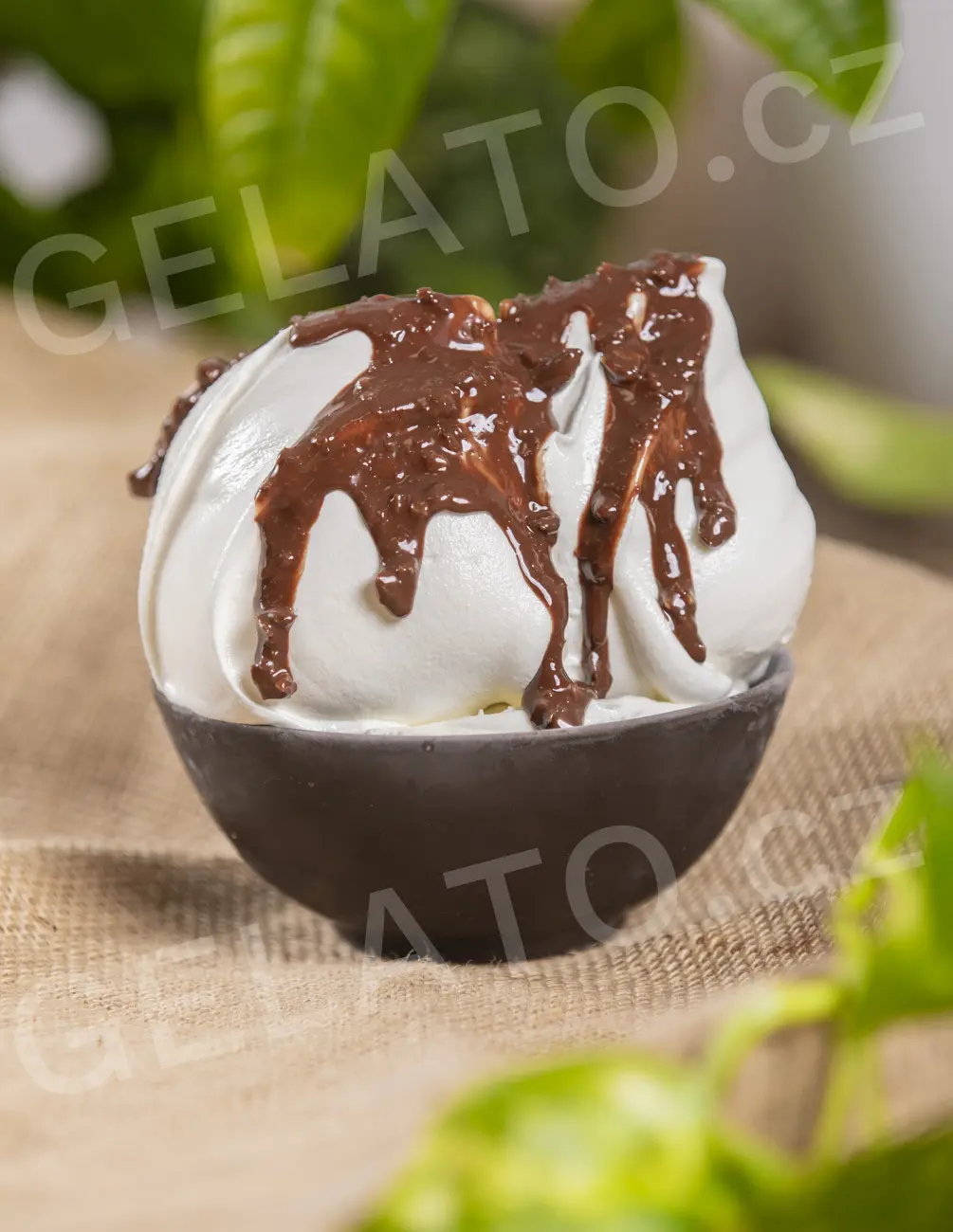 5,5 kg - Pralinka Doré - poleva s kousky, Stella