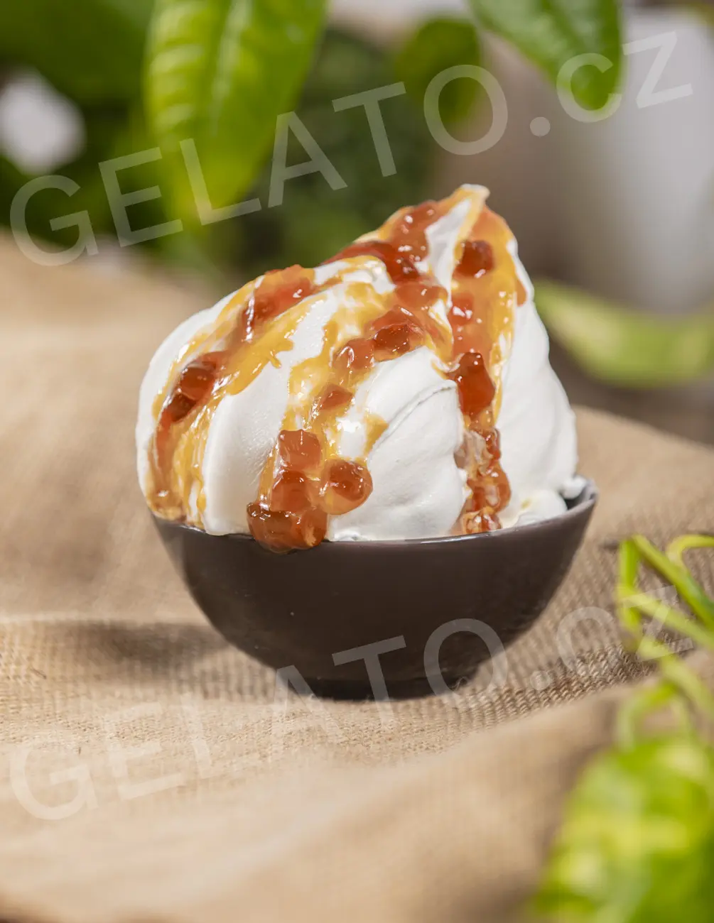 3 kg - Meruňka - poleva s kousky, Stella