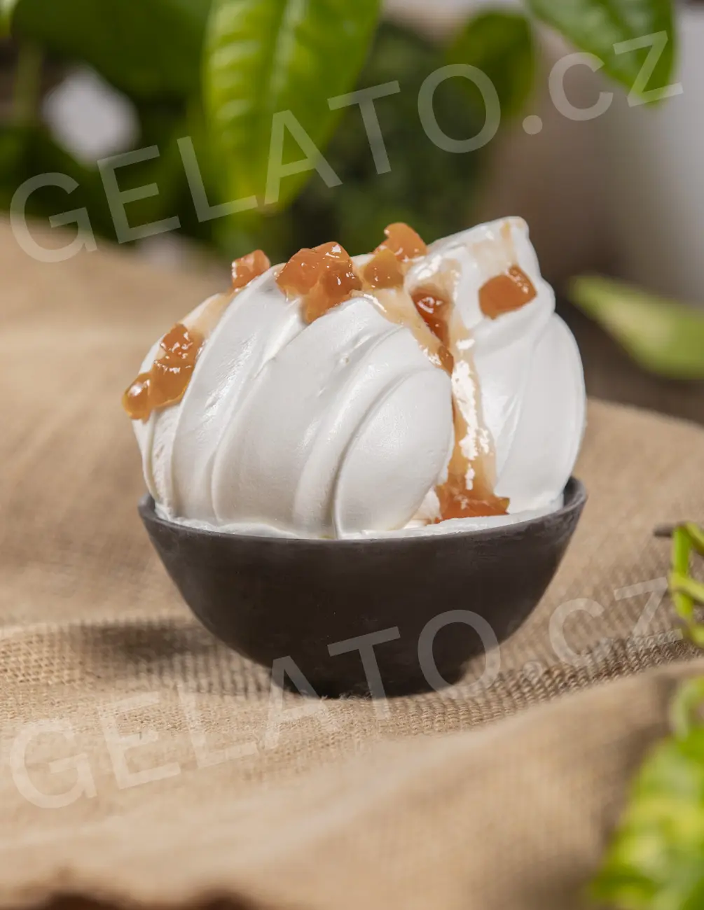 3 kg - Broskev - poleva s kousky, Stella