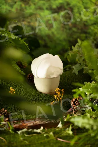 1,125 kg - Citron - kompletní zmrzlinová směs, Stella