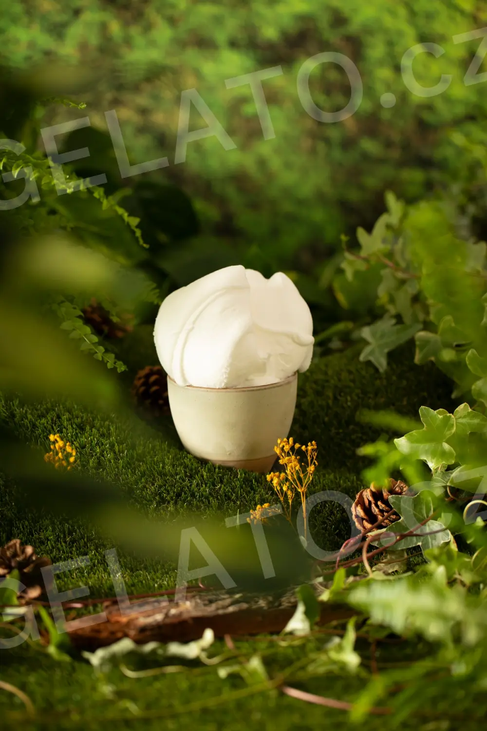 1,125 kg - Citron - kompletní zmrzlinová směs, Stella