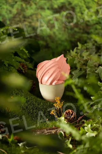 1,125 kg - Jahoda - kompletní zmrzlinová směs s kousky lyofilizovaných jahod