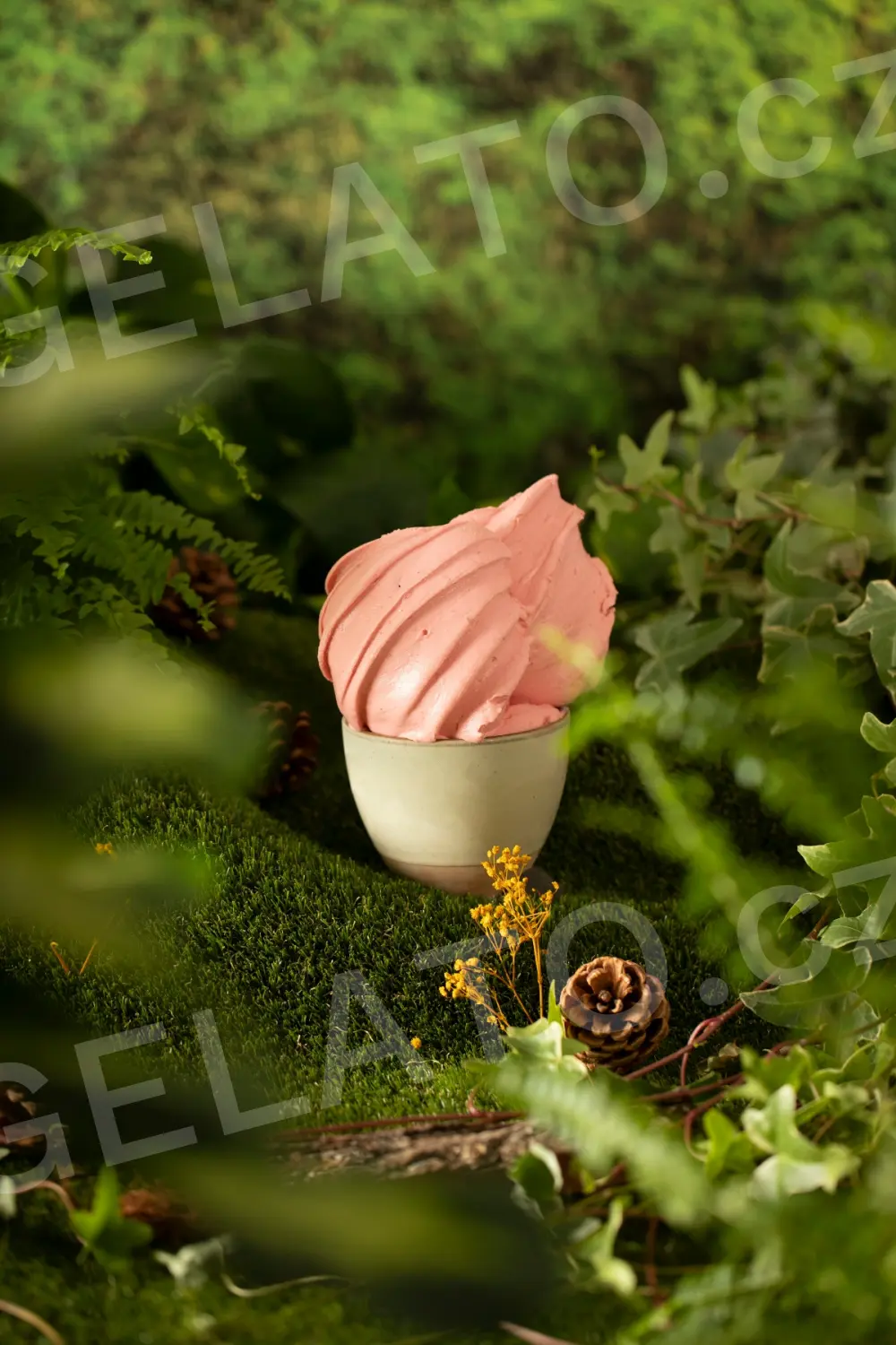 1,125 kg - Jahoda - kompletní zmrzlinová směs s kousky lyofilizovaných jahod