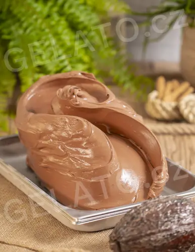 1 kg - Holandské kakao - speciální zmrzlinová báze, Stella
