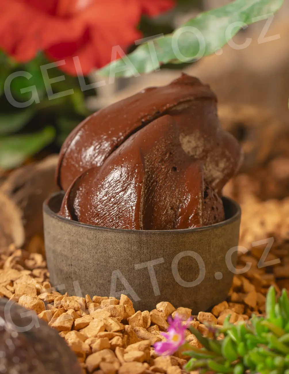 1,25 kg - Čokoláda Santo Domingo - kompletní sušená směs pro zmrzlinu, Stella