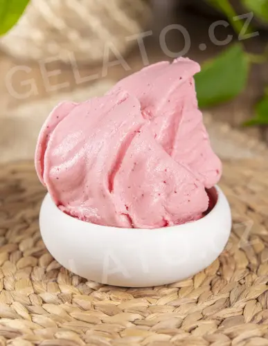 1,35 kg - Lesní směs - kompletní sušená zmrzlinová směs, Stella