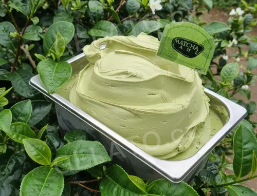 1,2 kg - Matcha Latte - kompletní zmrzlinová směs, LineaGel