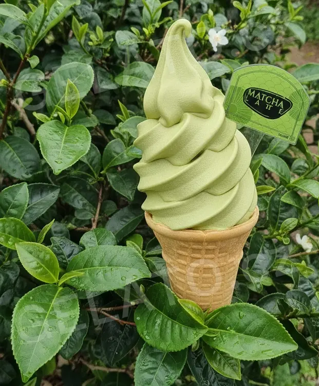 1,2 kg - Matcha Latte - kompletní zmrzlinová směs, LineaGel