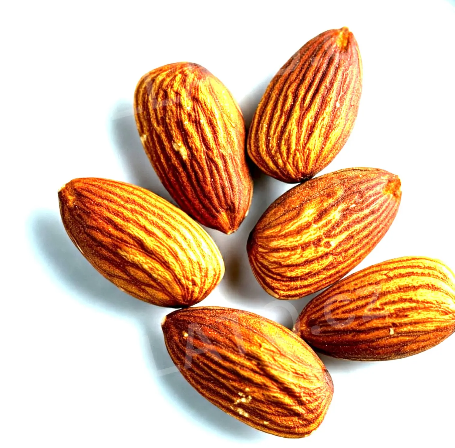 5 kg - Pražená mandle - ochucovací pasta hladká, LineaGel