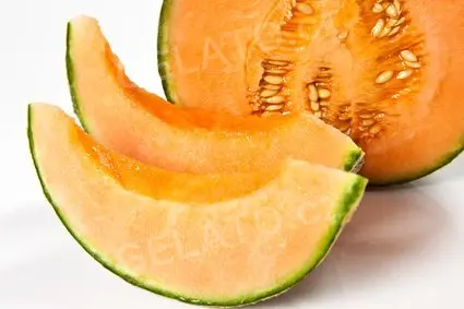 1,25 kg - Žlutý meloun - kompletní zmrzlinová směs, LineaGel