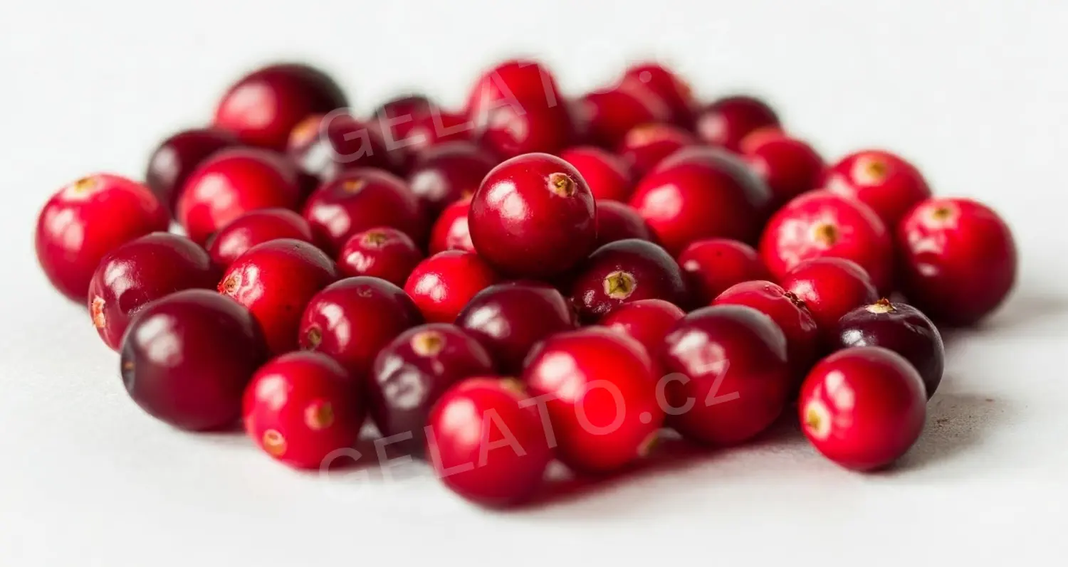 3 kg - Brusinka Madre - poleva s kousky, LineaGel