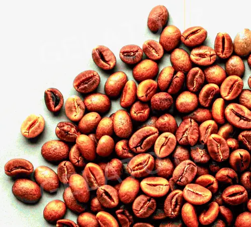 3 kg - Káva Arabica - ochucovací pasta hladká, LineaGel