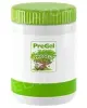 1,3 kg - Ochucovací pasta Červený pomeranč I, Pregel