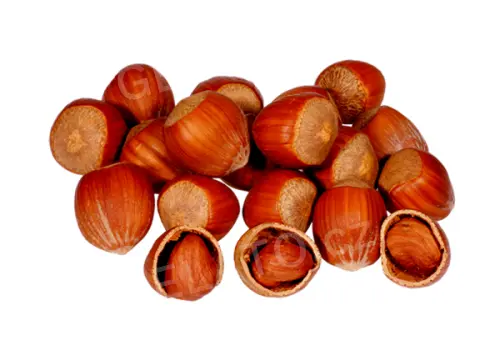 1,13 kg - Lískový oříšek sprint, Pregel