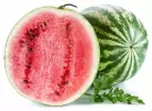 1,25 kg - Červený meloun - kompletní zmrzlinová směs, LineaGel