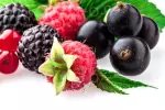 3 kg - Lesní plody - ochucovací pasta s kousky, LineaGel
