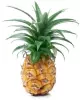 1,32 kg - Zmrzlinová směs Ananas s kousky sprint, Pregel