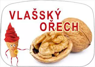 Zmrzlina Vlašský ořech