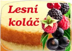 Zmrzlina Lesní koláč