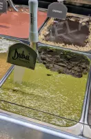Zmrzlina Dubaj Pistácie - sada výrobků, LineaGel
